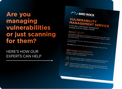 Managing vulnerabilities