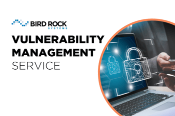 Vulnerability management Service