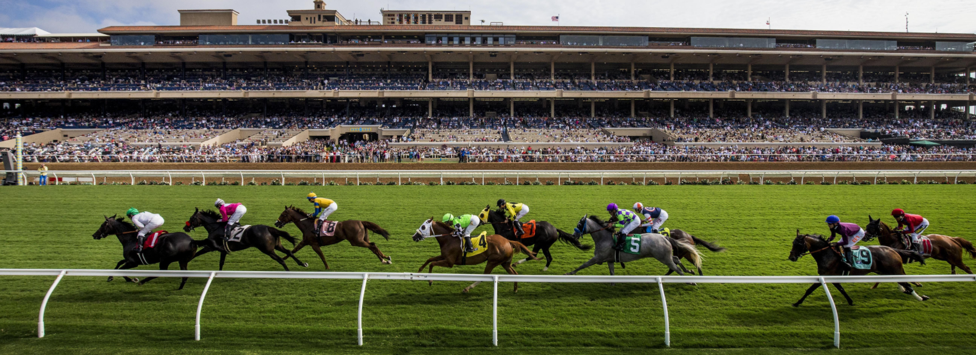Del Mar Horse Races