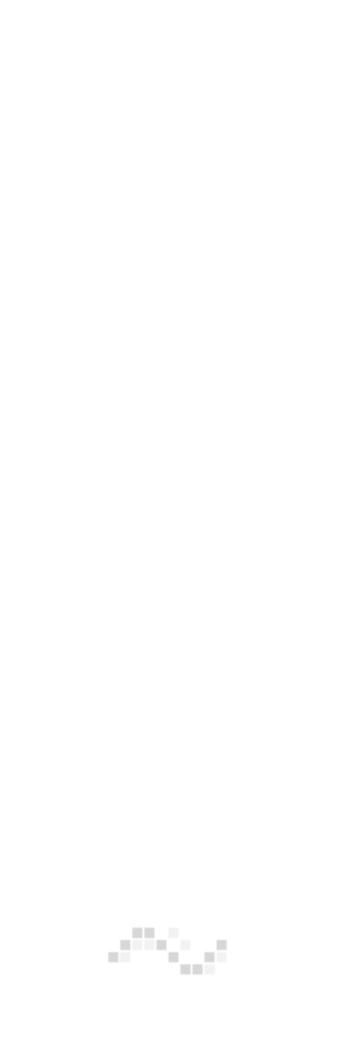 Vulnerability Management Bird Rock Systems Service