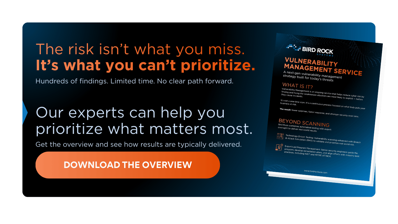 Vulnerability Management Overview-Professional Services