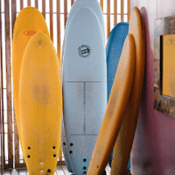 Surfboard