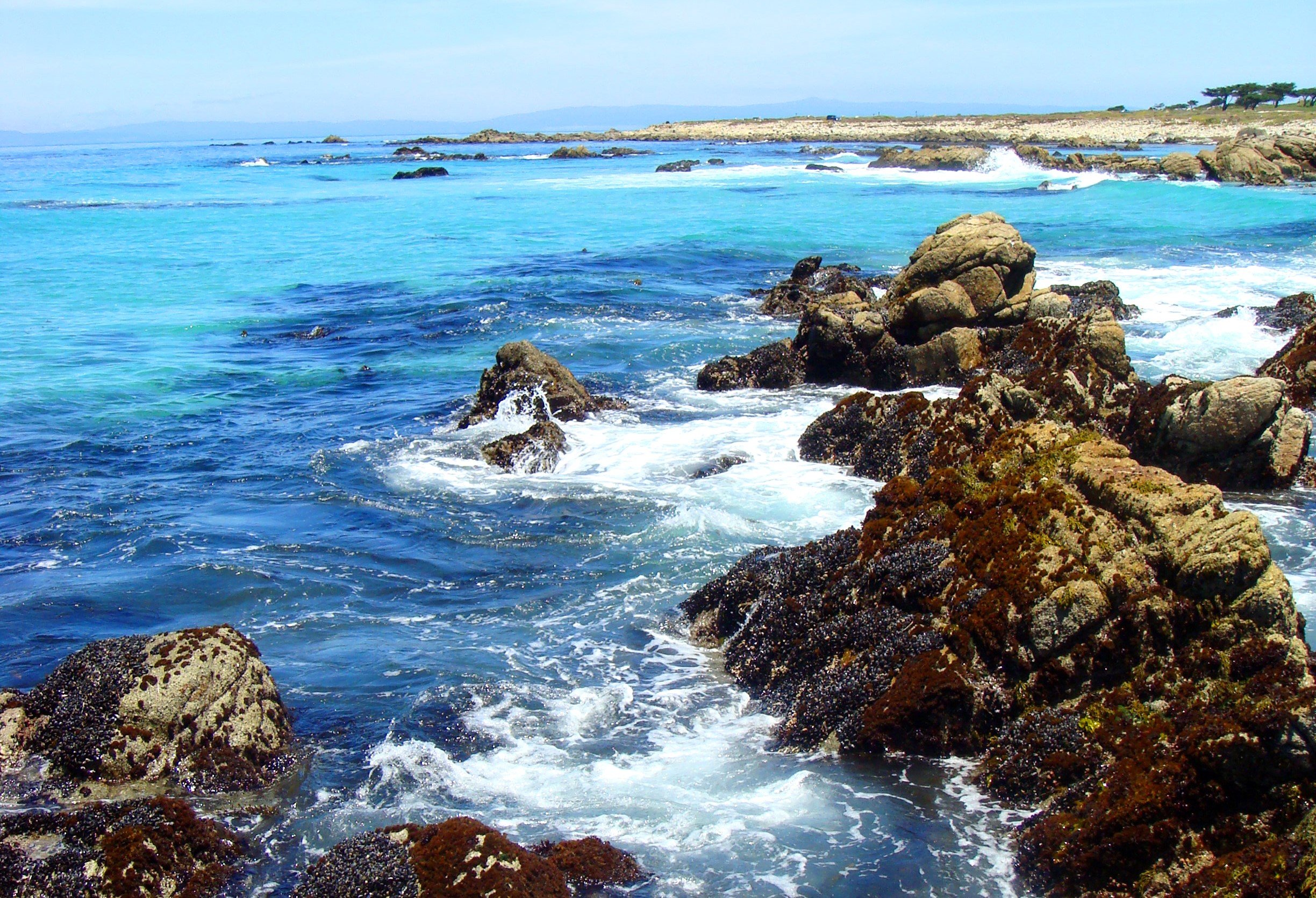 about-bird-rock.jpg