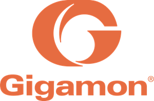 gigamon