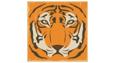 san diego tet logo 226x124