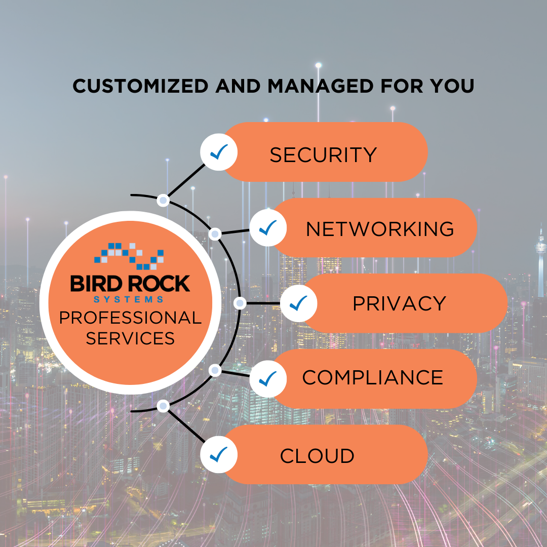 Bird Rock Systems Professional Services