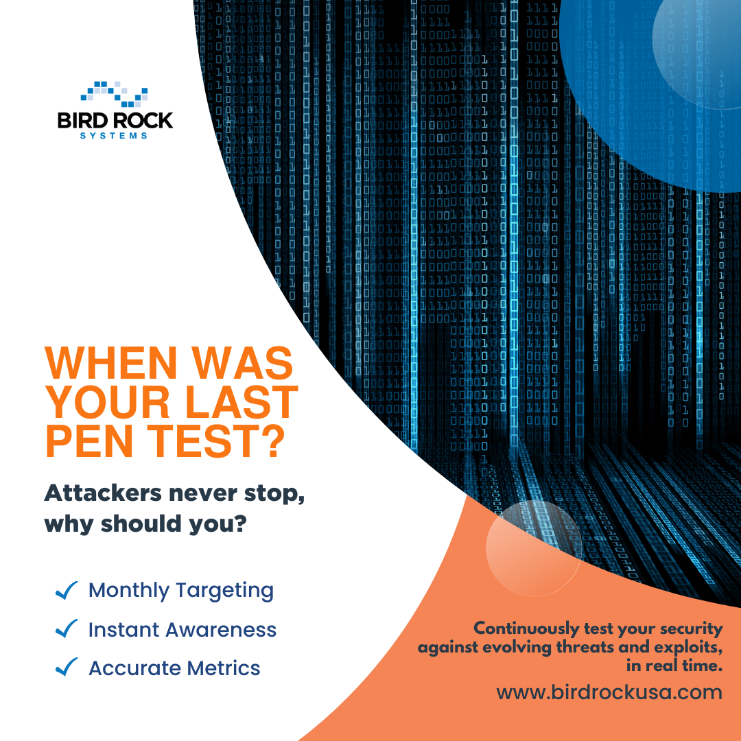 Bird Rock Systems offers regular PenTesting. Hackers never stop attacking your security practices. Test your environment against evolving threats and exploits. 