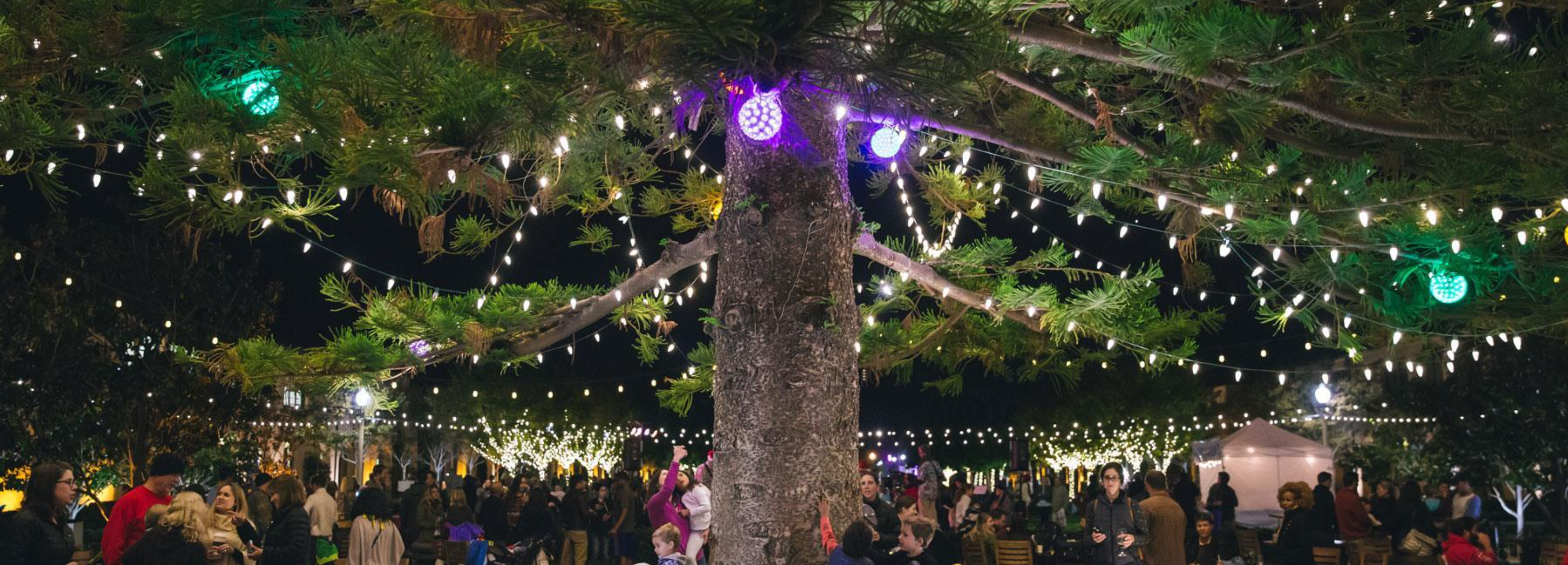 Liberty Station Tree Lighting