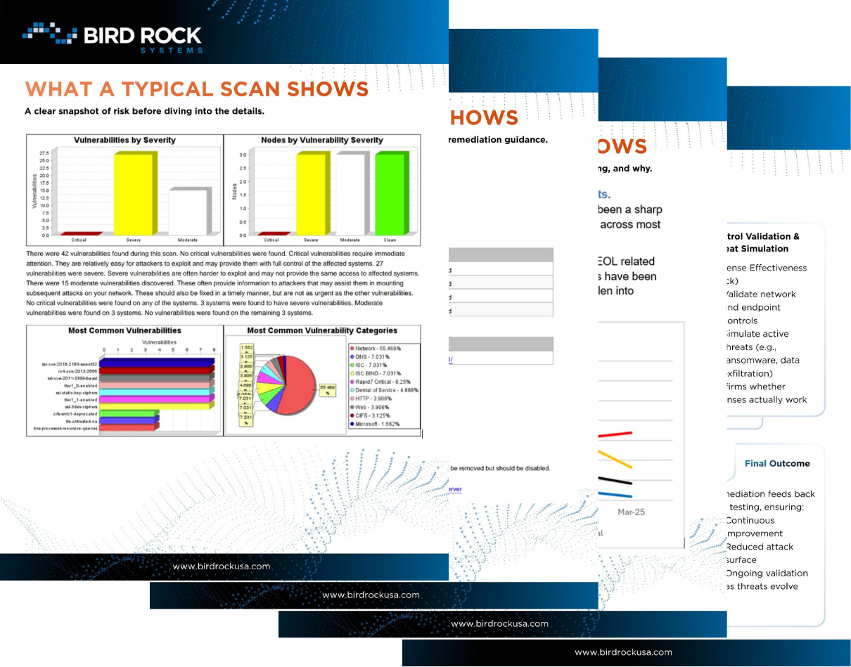 Vulnerability Scan Preview